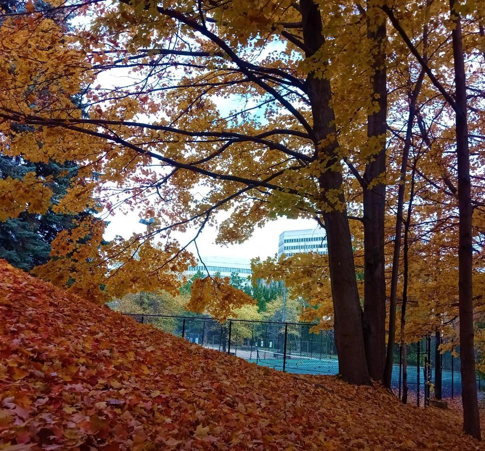 Pan Pacific Toronto Otel Dış mekan fotoğraf